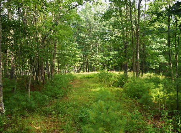 4th image of Deerfield Rd
