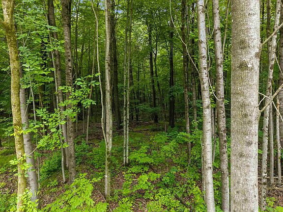 3rd image of Island Lake Ln