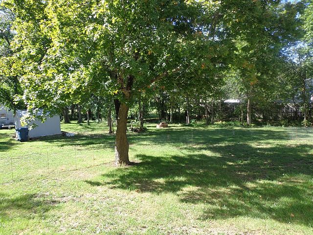 View from back porch
