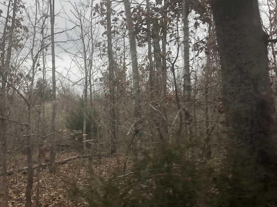 2nd image of 12 Little Rd