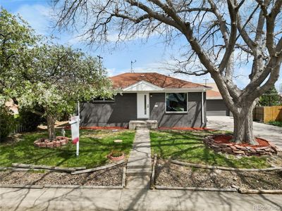 10752 Blue Jay Lane, Northglenn, CO, 80233