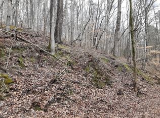 Lake Hollow Ln, Jacksboro, TN 37757