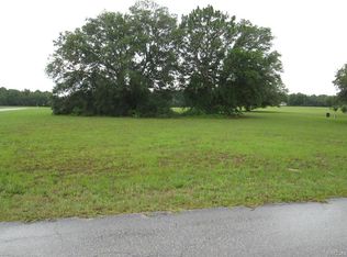 220 E Samuel Ct, Hernando, FL 34442