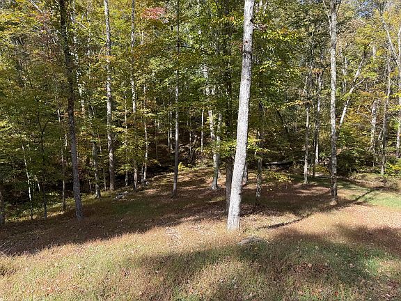 3rd image of 410 Falls Creek Way