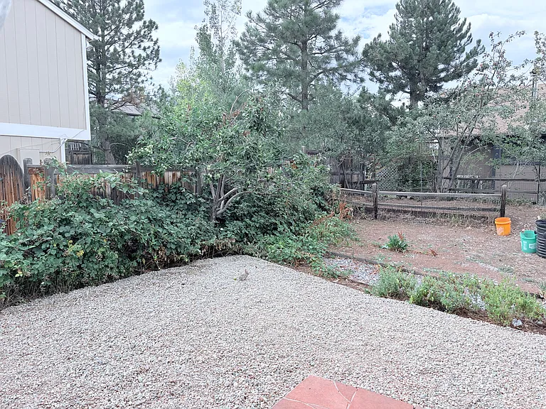 3801 Silver Plume Cir — Photo 14