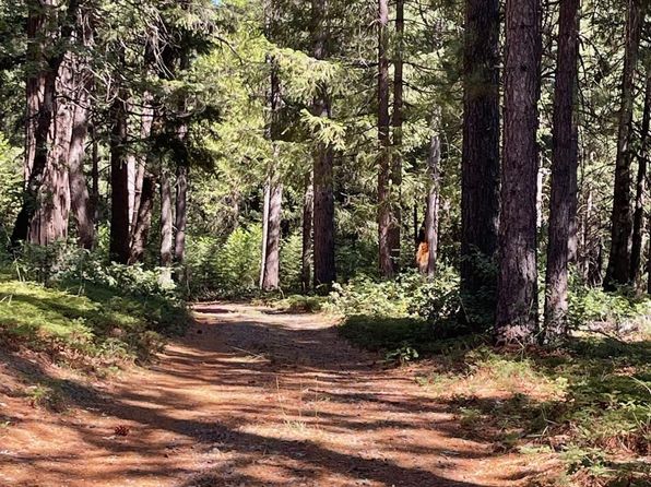 1935 Moody Ridge Rd, Alta, CA 95701