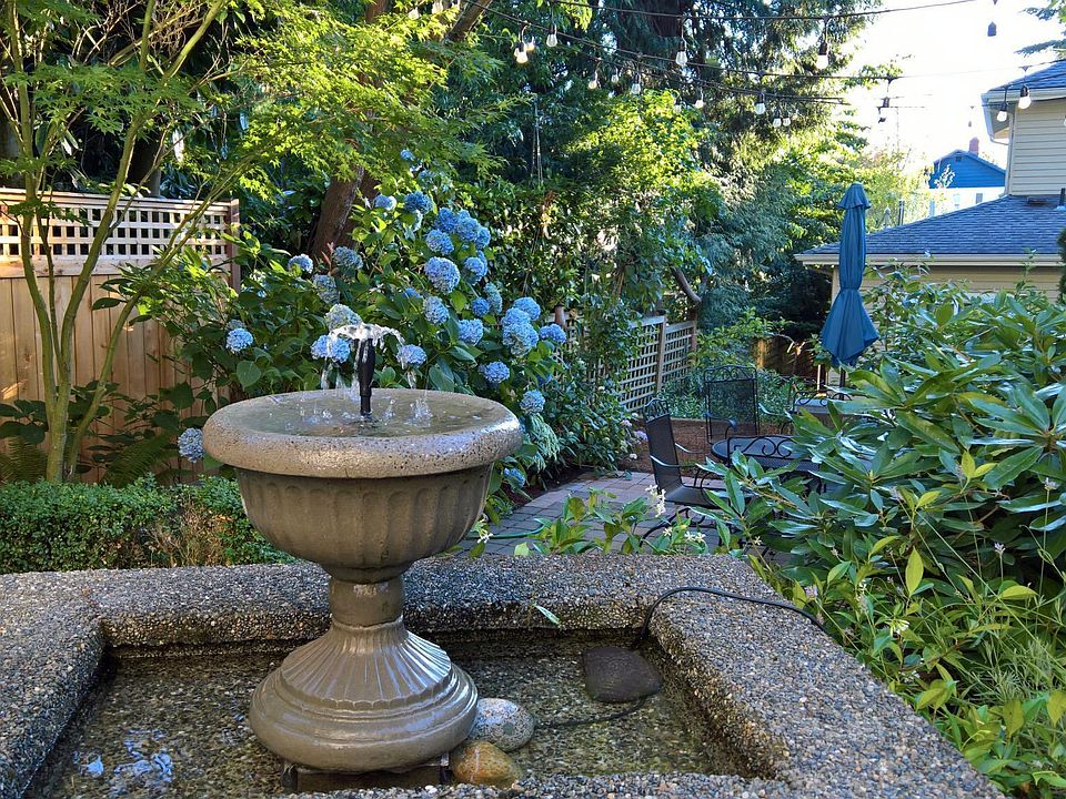 Beautiful Back yard