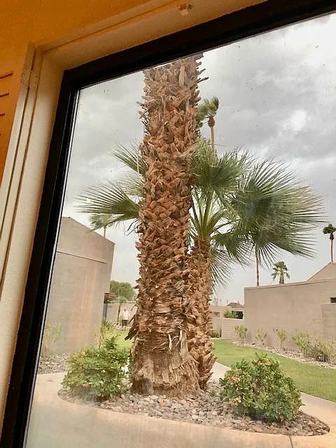 71852 Eleanora Lane — Photo 3