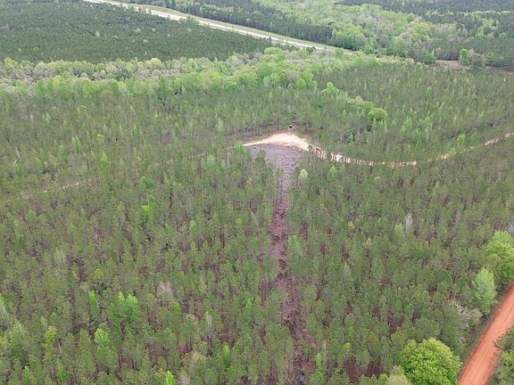 Dji Fly 20260406 113040 590 1775489466307 Photo Optimized