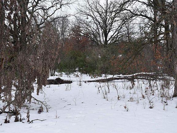 2nd image of 9464 Hollywood Road #1