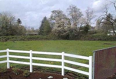 Delightful view of the pastures