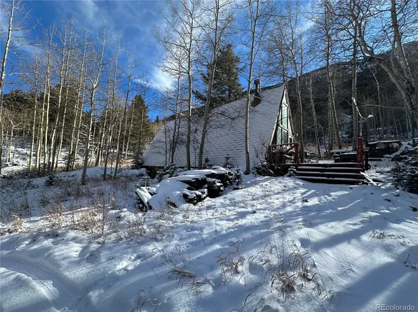1060 Paul Street, Silver Plume, CO 80476