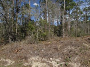 LOT 16 SW Westview Ave LOT 16, Dunnellon, FL 34431