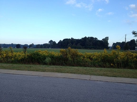 pasture across the street