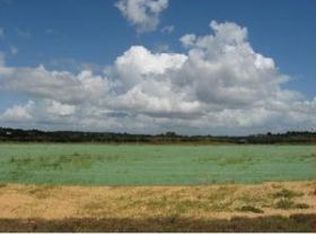 12431 SW 264th St, Homestead, FL 33032