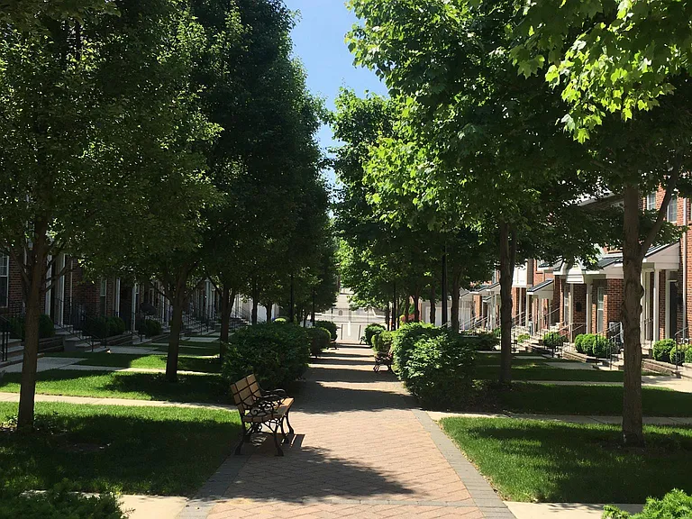 green area