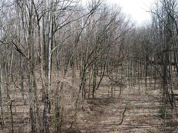 5th image of 222 Hopwood Coolspring Rd N