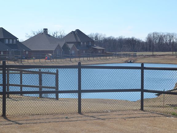 Pond view from backyard