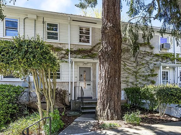 Front entry with large Douglas fir