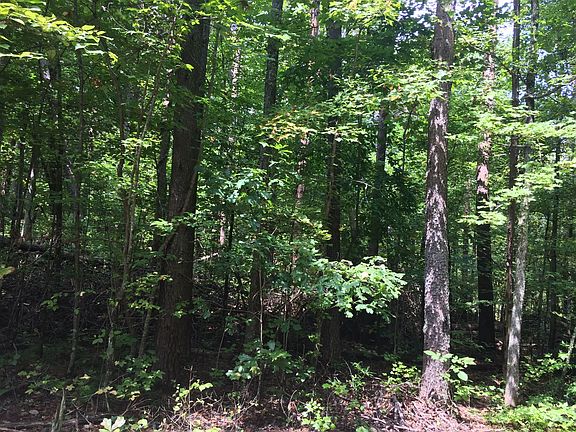 Heavily treed