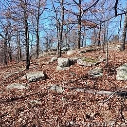 3rd image of 1 Mile