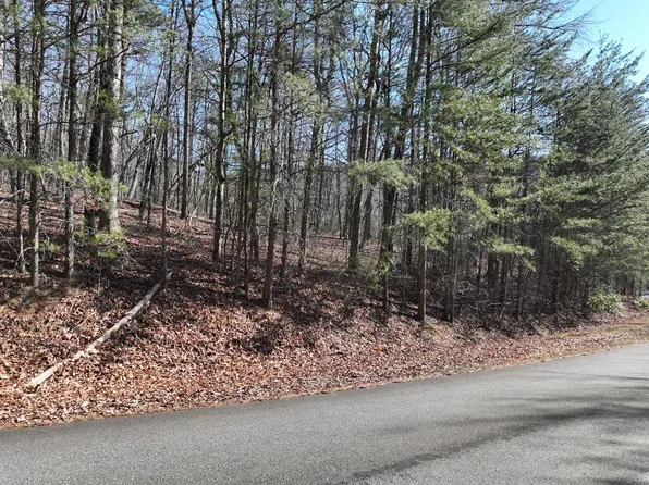 58 Saint Andrews Way, Ellijay, GA 30536