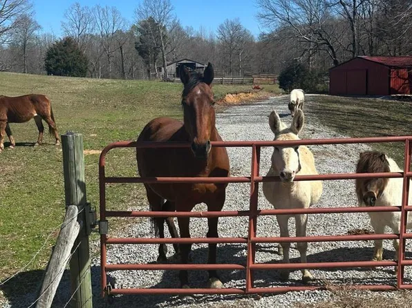 1486 Cedar Grove Rd, Big Sandy, TN 38221
