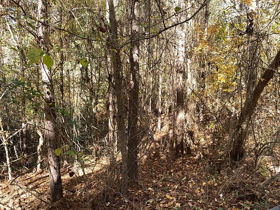 4th image of Big Hungry Road County Rd #144