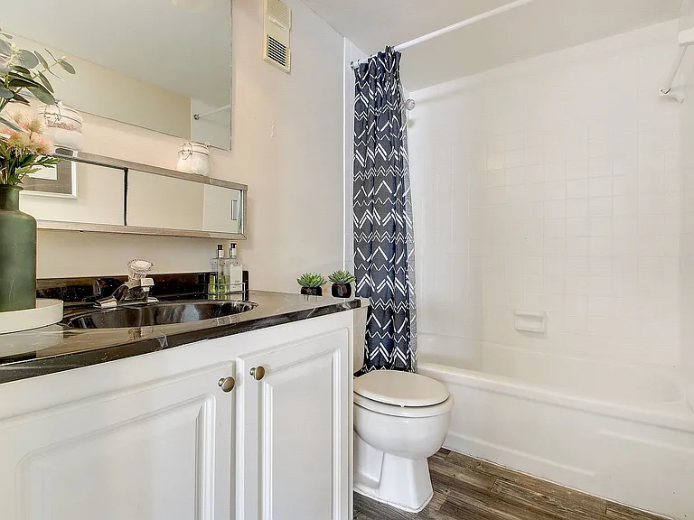 Elegant bathroom with a modern vanity, black countertop, and chic shower curtain.