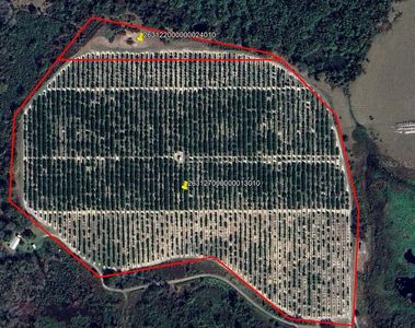 Buffum Church Rd, Fort Meade, FL, 33841