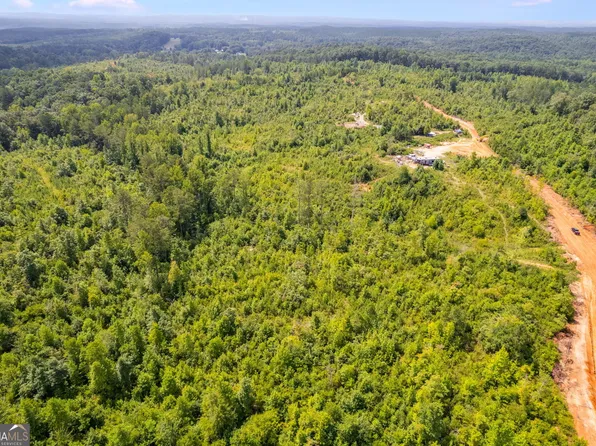0 Highway 78 Tract #2, Muscadine, AL 36269