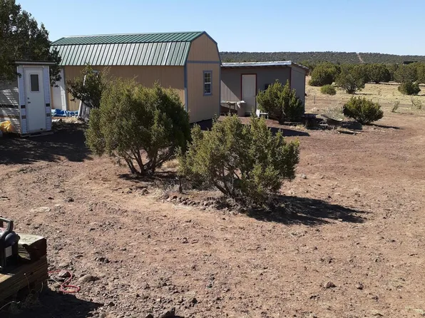 460 & 461 County Road 8301, Concho, AZ 85924