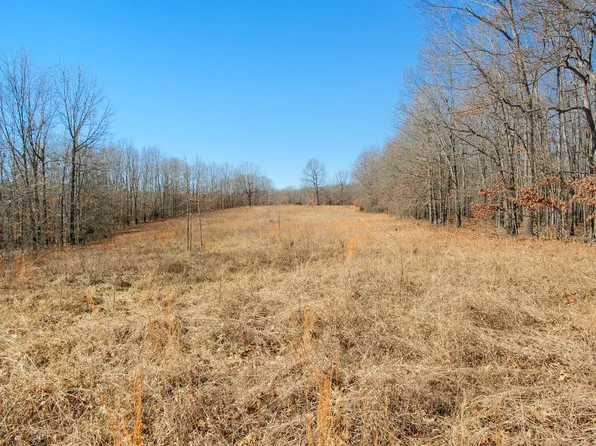 000 County Road 8990, West Plains, MO 65775