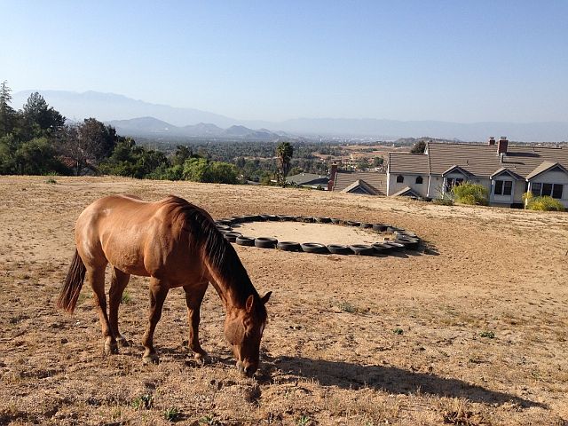 "NEIGH"bors love to visit