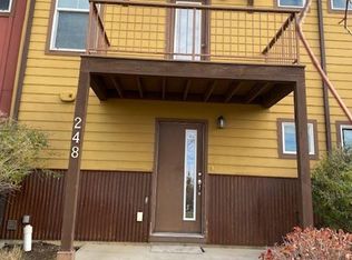 248 Buena Vida Ave, Durango, CO 81301