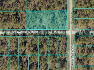 18 NW Buena Vista Rd #18, Dunnellon, FL 34431
