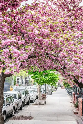 Rented by Kleier Residential | media 6