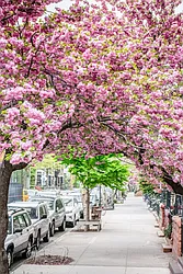 Rented by Kleier Residential