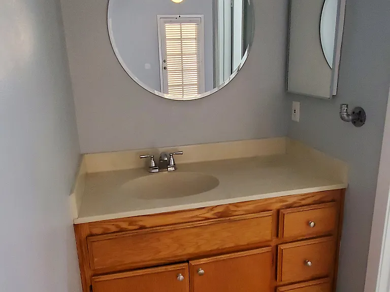 Master bathroom vanity