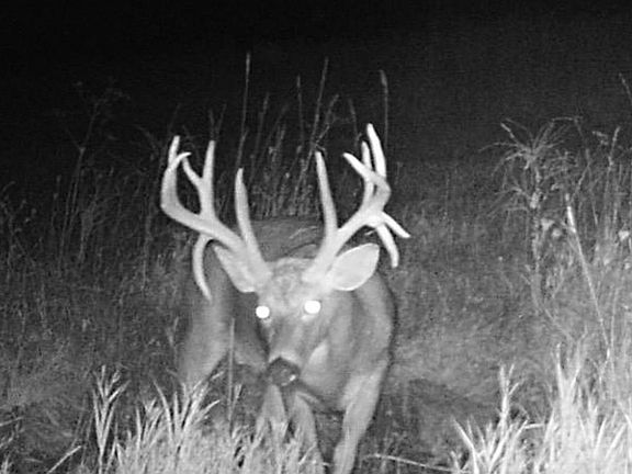5th image of 825 County Road F