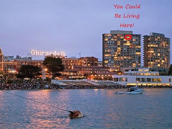 Wake up and go to sleep with the Best Bay/Alcatraz Views!