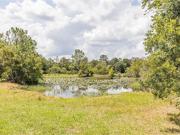 4th image of 8705 Ogleby Creek Rd