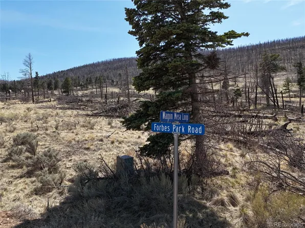 LOT 506 Forbes Park Road, Fort Garland, CO 81133