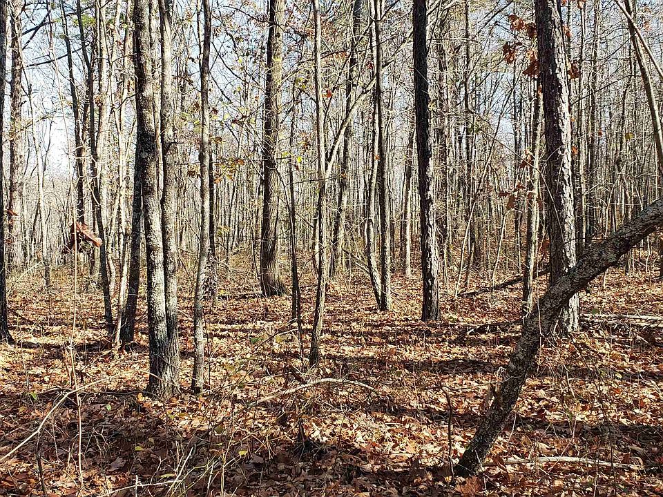 County Road 251, Dennard, AR 72629 MLS 22039664 Zillow