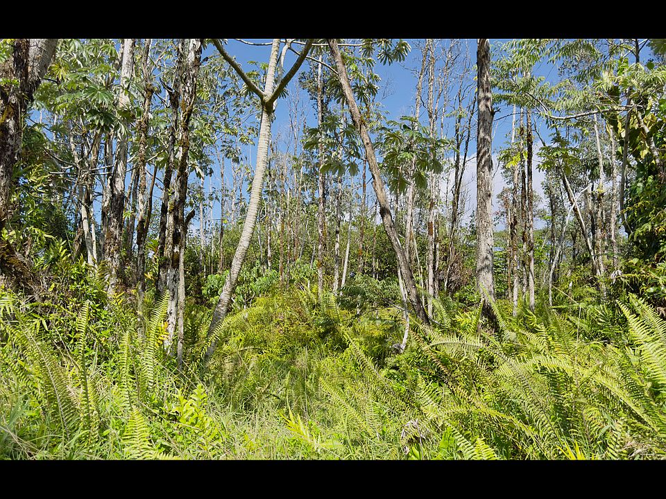 1st image of 13th Ave Lot 1201