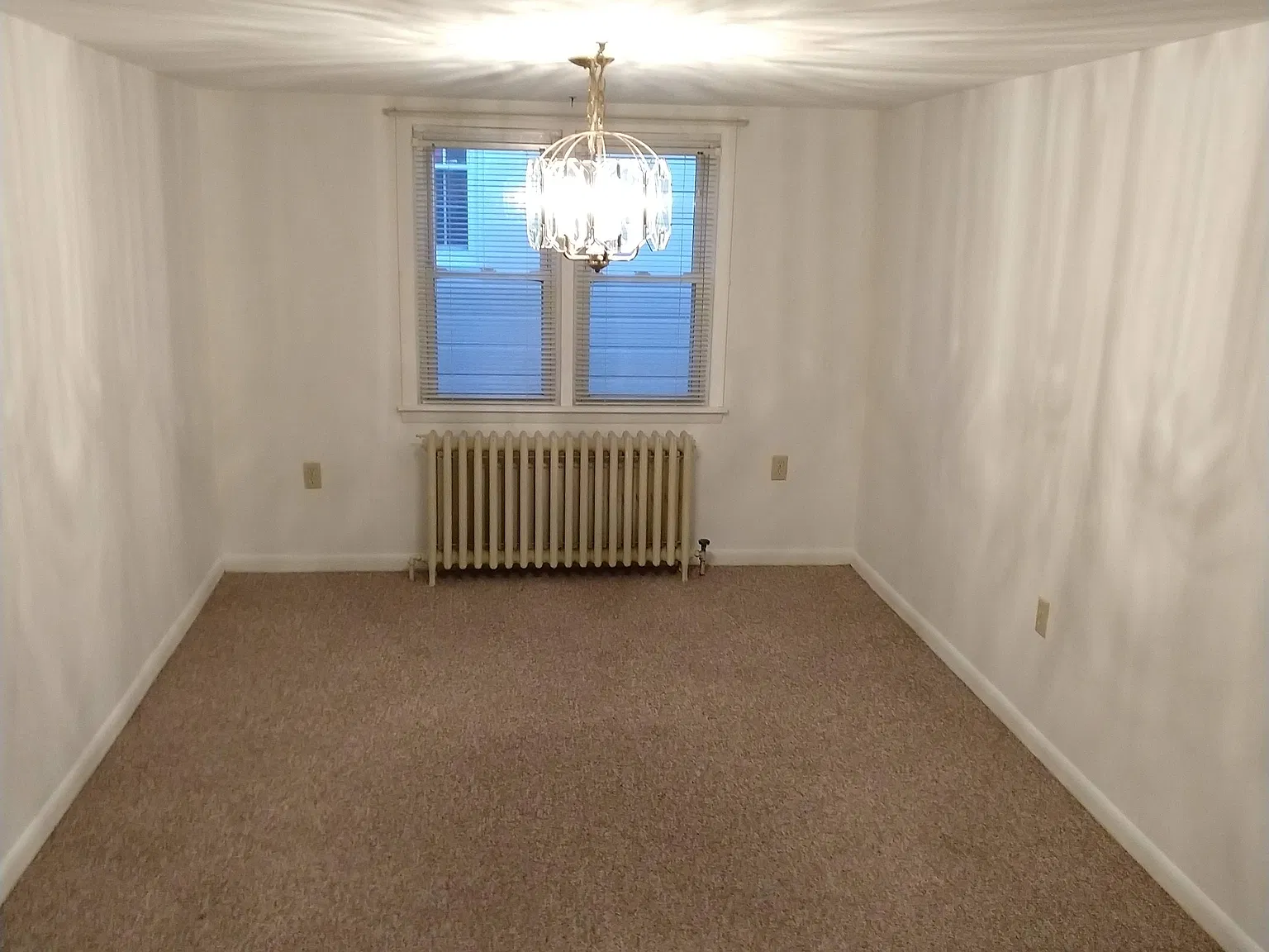 1 bed, 800 sqft, $1,200 — Photo 4