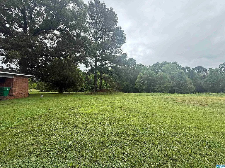 337 County Road 555 — Photo 3