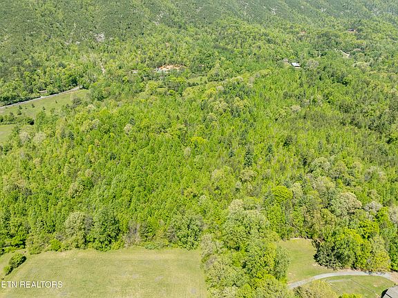 2nd image of 604 E Millers Cove Rd