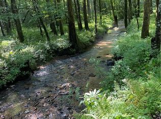 437 Dale Ct #45-48, Ellijay, GA 30540