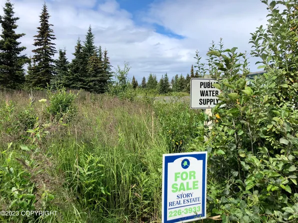 33755 Sterling Hwy, Anchor Pt, AK 99556